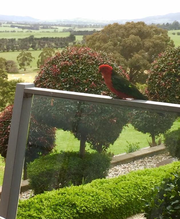 The Studio - Yarra Valley Yarra Glen Exterior photo