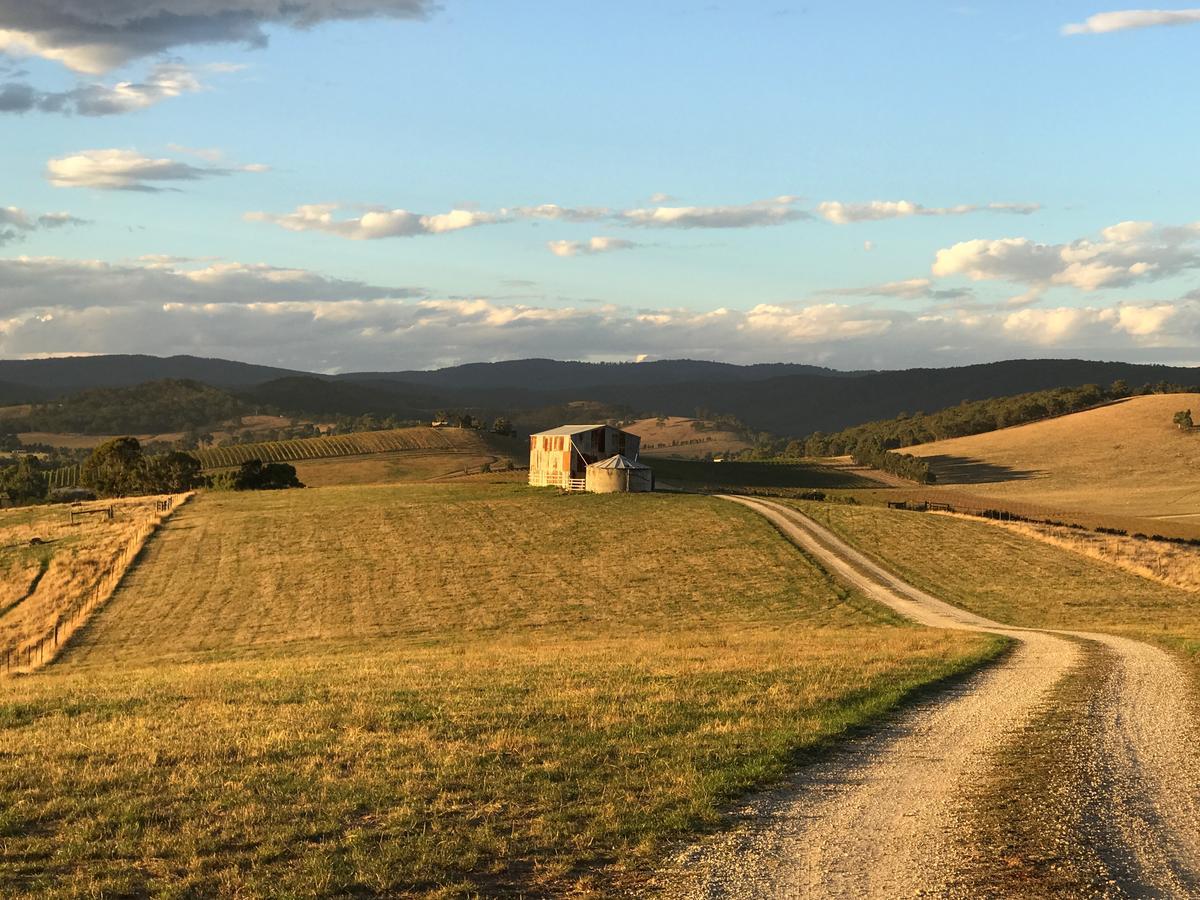 The Studio - Yarra Valley Yarra Glen Exterior photo